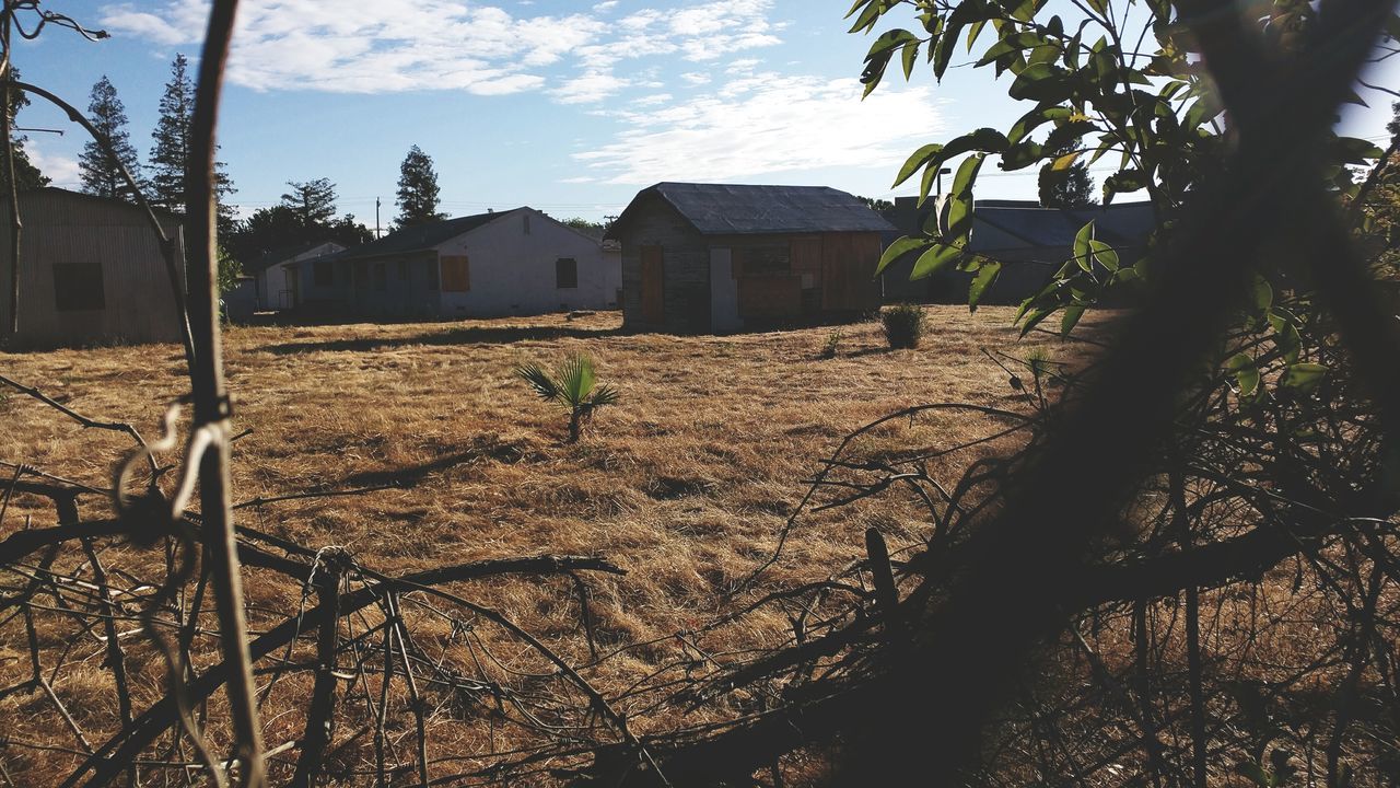 building exterior, architecture, built structure, sky, house, residential structure, cloud - sky, tree, plant, cloud, residential building, growth, sunlight, day, outdoors, no people, nature, fence, city, field