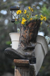 A boot that has become a flowerpot