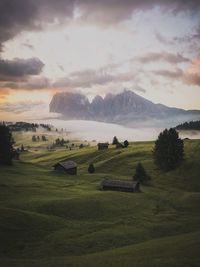 Scenic view of field against sky