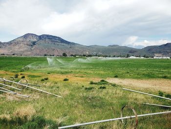 Scenic view of field against sky