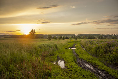 Scenic view of field against sky during sunset