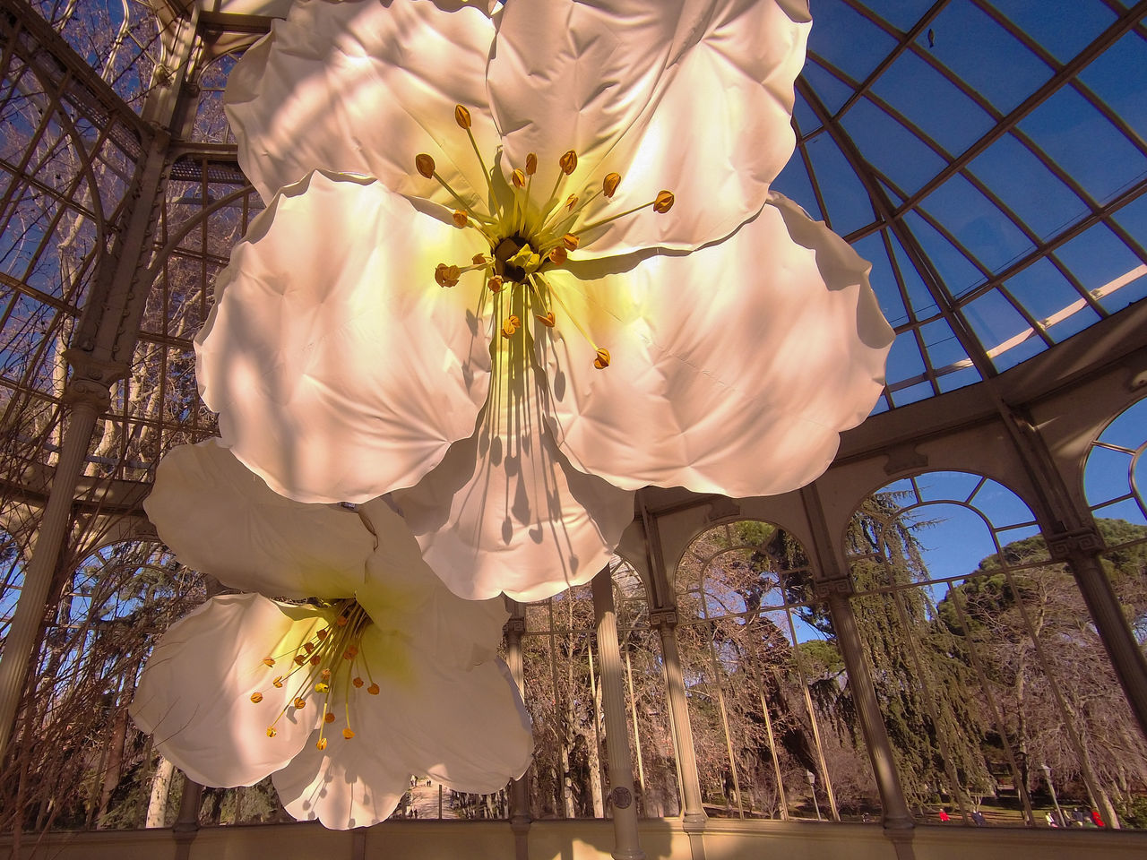 LOW ANGLE VIEW OF FLOWERING PLANT HANGING AGAINST SKY