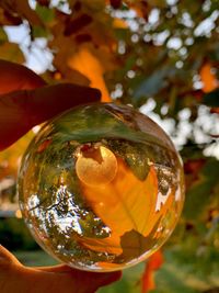 Close-up of hand holding glass of orange