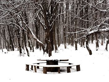 Bare trees on snow covered landscape against sky