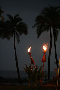 Close-up of illuminated palm tree against sky at night