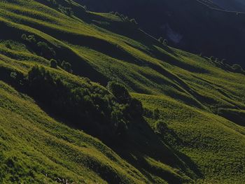 High angle view of green landscape