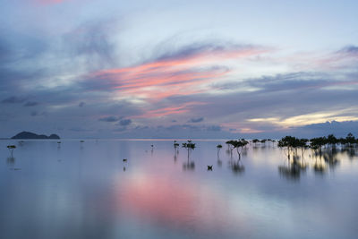 Scenic view of lake against sky during sunset