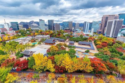 Trees and buildings in city against sky