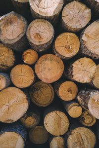 Full frame shot of the cut tree logs