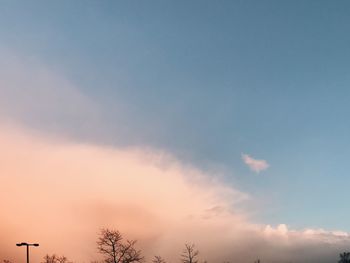 Low angle view of tree against sky