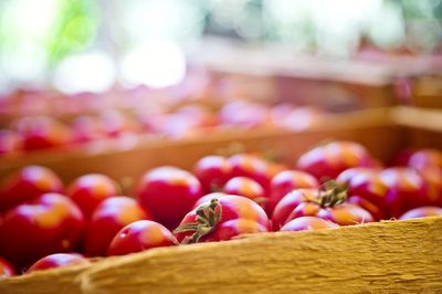Close-up of fruits for sale in market