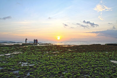 Scenic view of beach against sky during sunset
