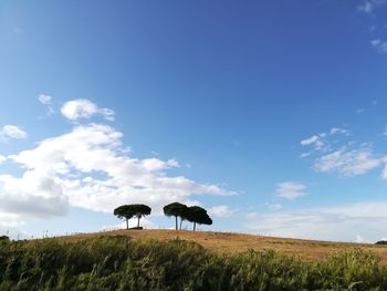 Silhouette horse grazing on field against blue sky