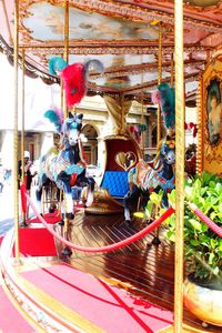 Multi colored carousel in amusement park