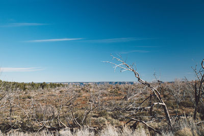 Scenic view of landscape at grand canyon national park against blue sky