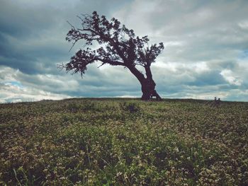 Scenic view of field against cloudy sky