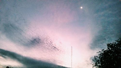 Low angle view of silhouette trees against sky