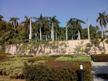 Panoramic shot of palm trees on landscape against sky