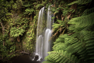 Scenic view of waterfall
