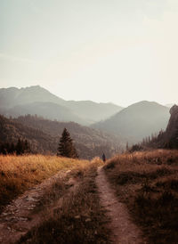 Dirt road amidst landscape against sky