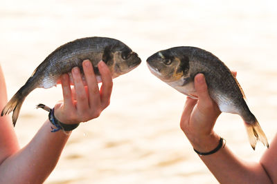 Midsection of woman holding fish in sea