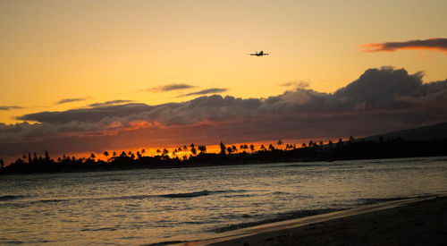 Silhouette of airplane flying over sea in city