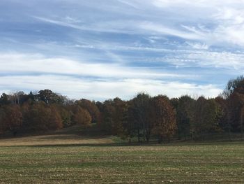 Scenic view of field and trees against sky