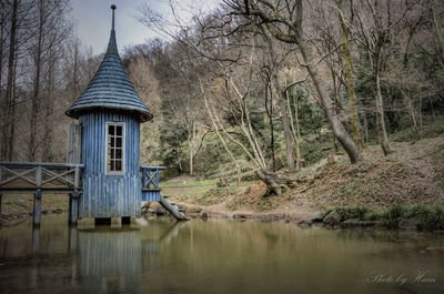 Bare trees against sky