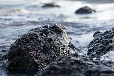 Close-up of rocks on beach