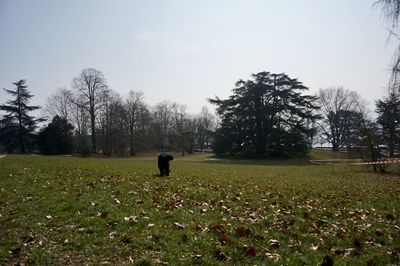 Rear view of man on field against sky