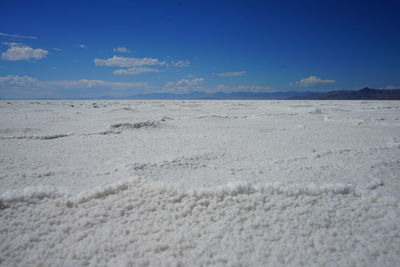 Scenic view of landscape against blue sky