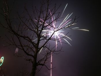 Low angle view of bare tree against sky at night