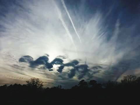 SILHOUETTE OF TREES AGAINST CLOUDY SKY