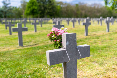 A lot of small, concrete crosses at the german war cemetery in the netherlands.