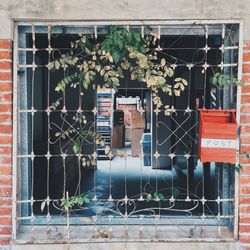 Potted plants on window of abandoned building