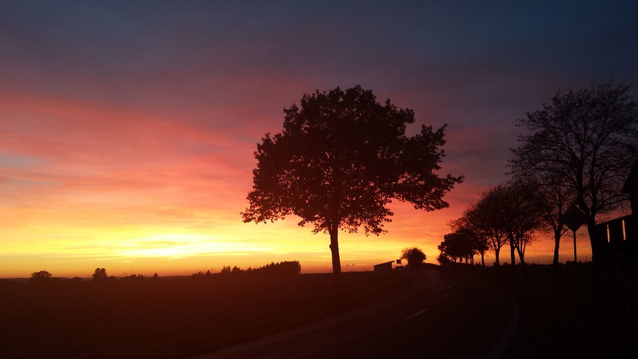 silhouette, sunset, tree, tranquility, sky, tranquil scene, scenics, beauty in nature, orange color, nature, landscape, idyllic, outline, dark, road, bare tree, outdoors, dusk, cloud - sky, field