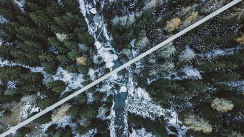 High angle view of stream amidst trees during winter