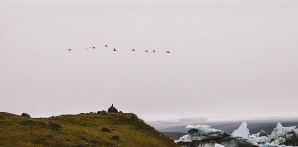 Birds flying over snowcapped mountains against sky