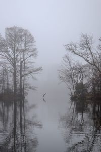 Reflection of bare trees in lake against sky