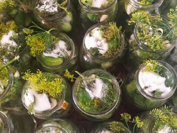 Close-up high angle view of jar