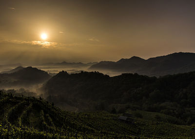 Scenic view of agricultural field against sky at sunset