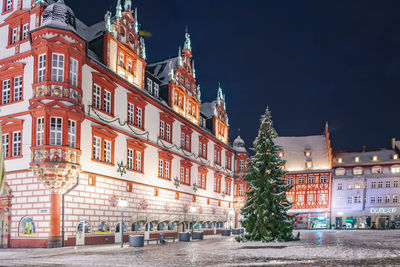 Illuminated christmas tree by buildings in city at night