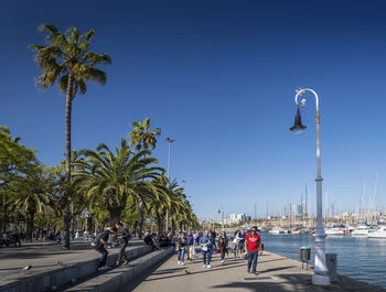 People walking on street by palm trees against sky