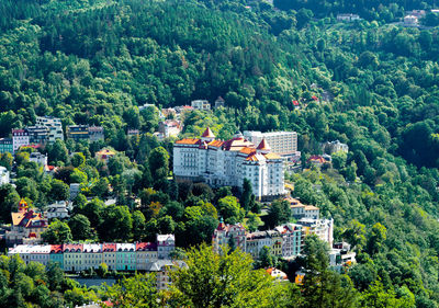 High angle view of trees and buildings in town