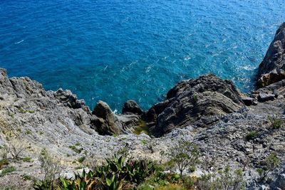 High angle view of rocks on shore