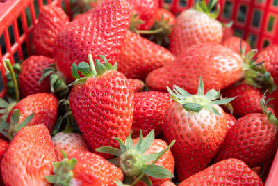 Full frame shot of strawberries