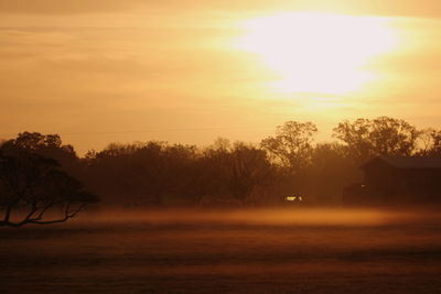 Silhouette trees on field against orange sky