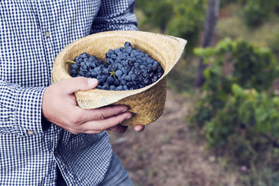 Midsection of woman holding fruit