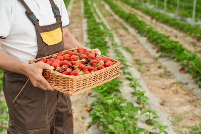 Midsection of man holding apple in basket