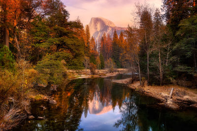 Scenic view of lake by trees in forest against sky